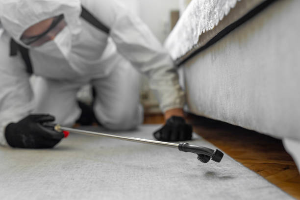 Professional Bed Bug Control technician working in Marquette, MI